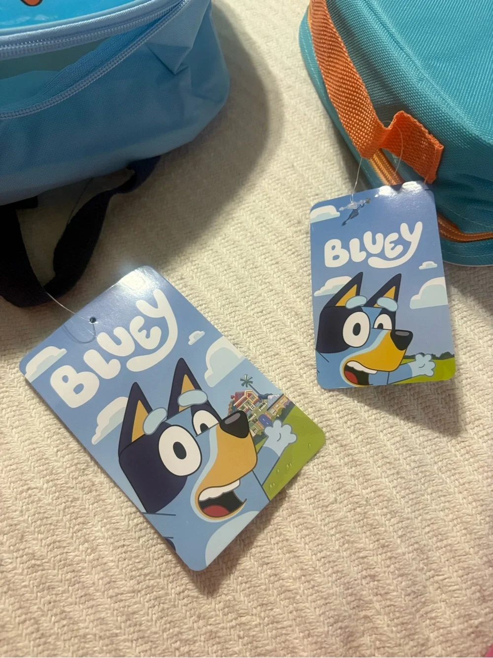 Bluey backpack matching